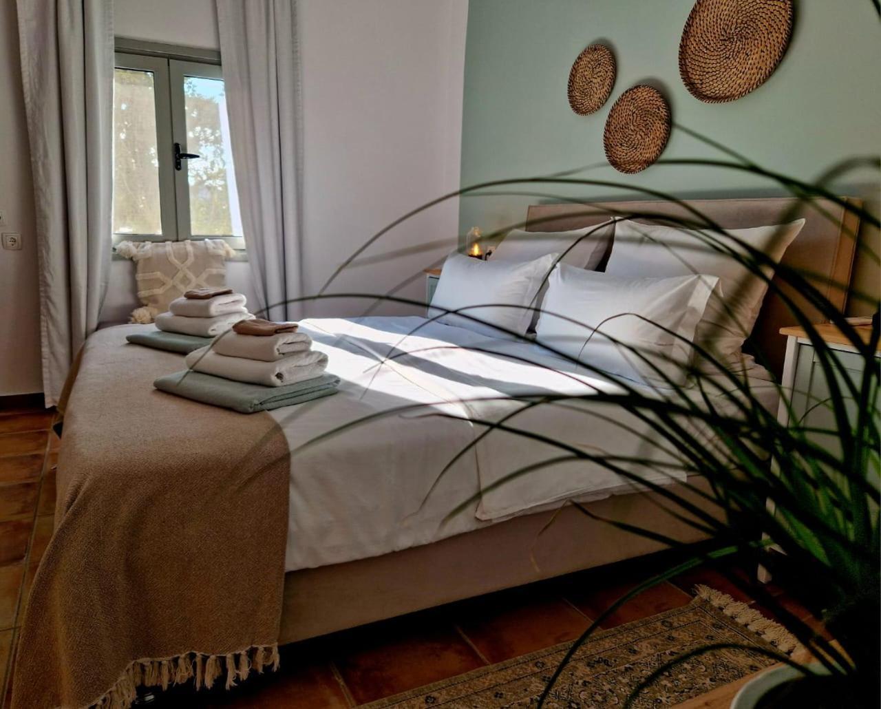 Pelekanos Apartment Kamilari
